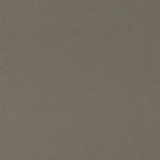 Charlotte - D2822 - Pewter - Fabric by the Yard Pewter