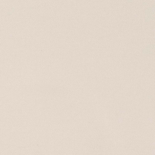 Charlotte - D2823 - Cloud - Fabric by the Yard Cloud
