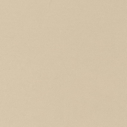 Charlotte - D2826 - Taupe - Fabric by the Yard Taupe