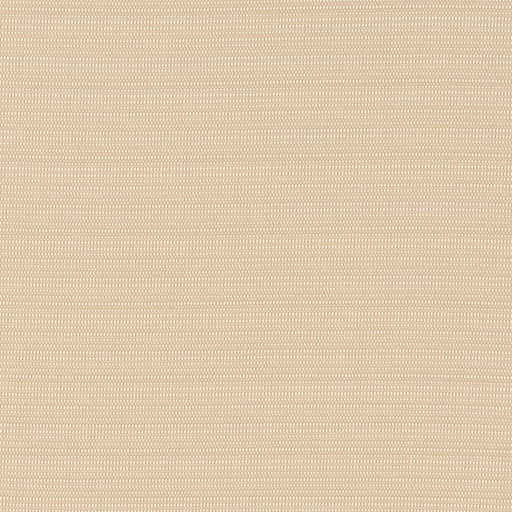 Charlotte - D2830 - Almond - Fabric by the Yard Almond