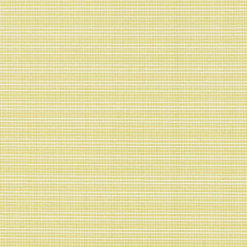 Charlotte - D2838 - Citrus - Fabric by the Yard Citrus