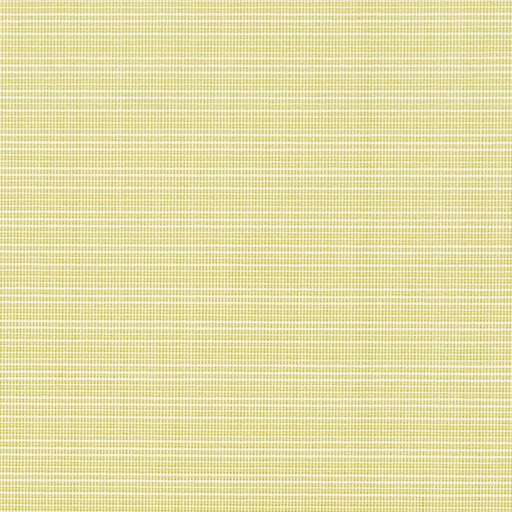 Charlotte - D2838 - Citrus - Fabric by the Yard Citrus
