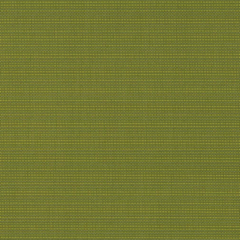 Charlotte - D2844 - Grass - Fabric by the Yard Grass