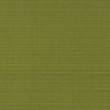 Charlotte - D2844 - Grass - Fabric by the Yard