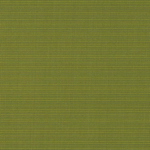 Charlotte - D2844 - Grass - Fabric by the Yard Grass