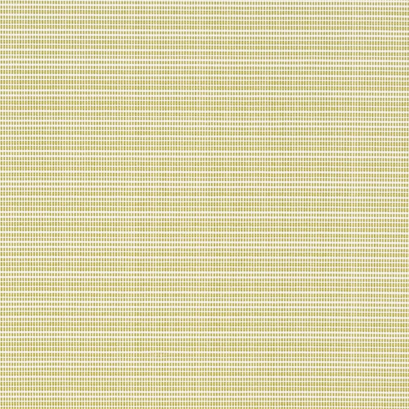 Charlotte - D2846 - Avocado - Fabric by the Yard Avocado