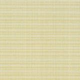 Charlotte - D2846 - Avocado - Fabric by the Yard
