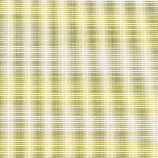 Charlotte - D2846 - Avocado - Fabric by the Yard Avocado