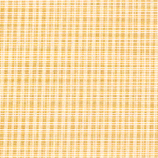Charlotte - D2847 - Lemon - Fabric by the Yard Lemon