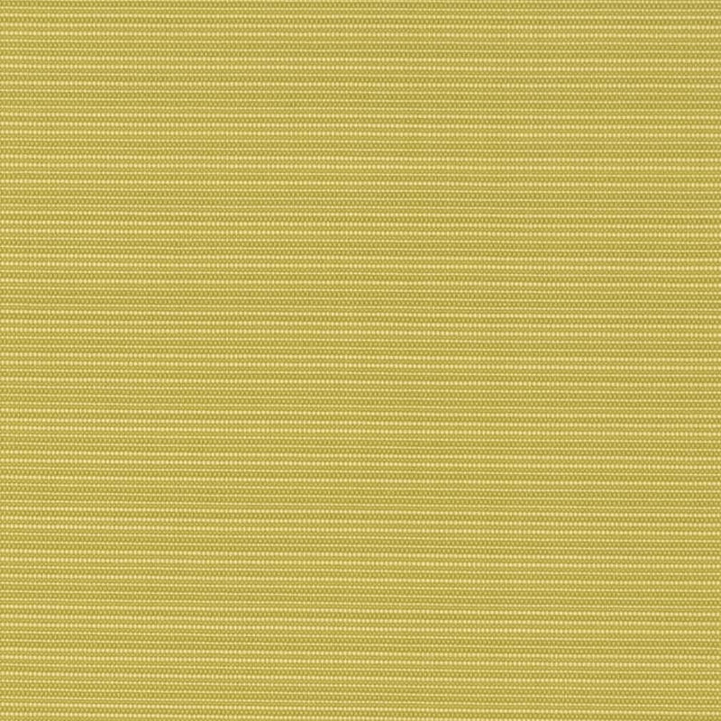 Charlotte - D2848 - Pistachio - Fabric by the Yard Pistachio