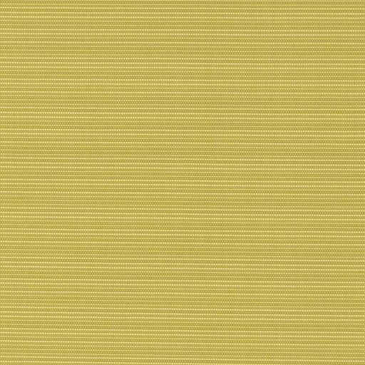 Charlotte - D2848 - Pistachio - Fabric by the Yard Pistachio