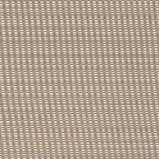 Charlotte - D2850 - Mushroom - Fabric by the Yard Mushroom