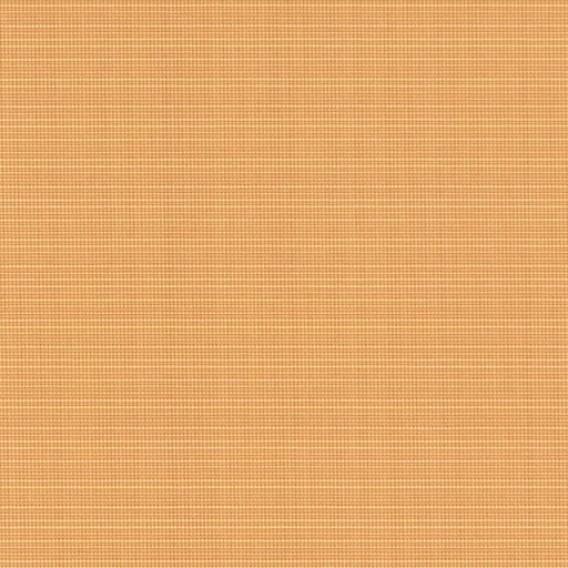 Charlotte - D2856 - Straw - Fabric by the Yard Straw