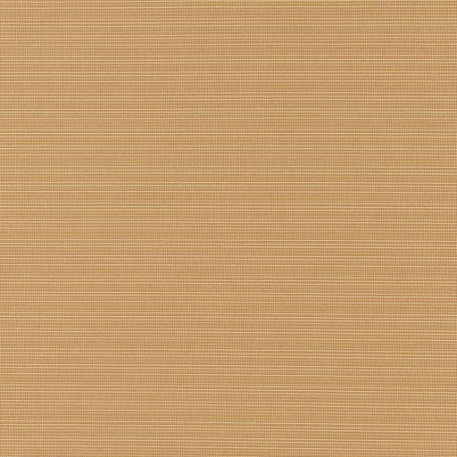 Charlotte - D2858 - Hazelnut - Fabric by the Yard Hazelnut