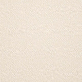 Charlotte - D2865 - Ivory - Fabric by the Yard