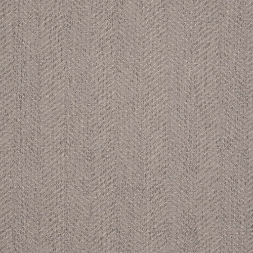 Charlotte - D2867 - Cement - Fabric by the Yard Cement