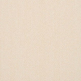 Charlotte - D2873 - Cotton - Fabric by the Yard