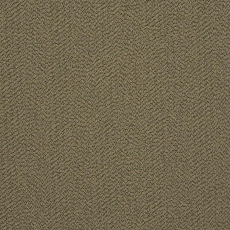 Charlotte - D2878 - Prairie - Fabric by the Yard Prairie