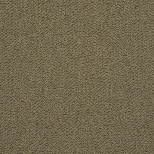 Charlotte - D2878 - Prairie - Fabric by the Yard Prairie