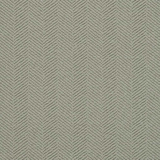 Charlotte - D2884 - Mist - Fabric by the Yard Mist