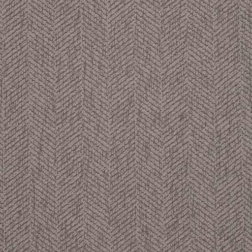 Charlotte - D2889 - Pewter - Fabric by the Yard Pewter