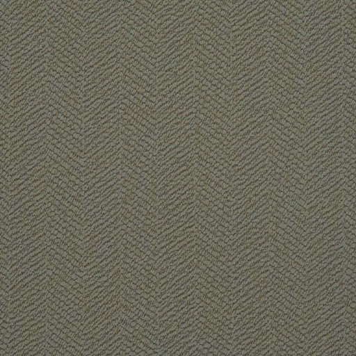 Charlotte - D2891 - Sage - Fabric by the Yard Sage