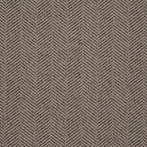 Charlotte - D2897 - Charcoal - Fabric by the Yard Charcoal