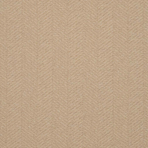 Charlotte - D2898 - Latte - Fabric by the Yard Latte