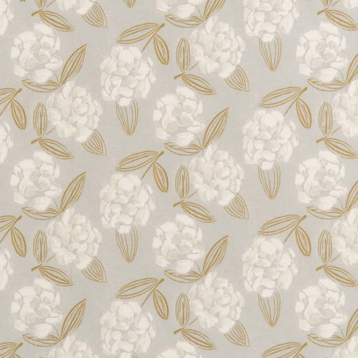 Charlotte - D2907 - Magnolia - Fabric by the Yard Magnolia