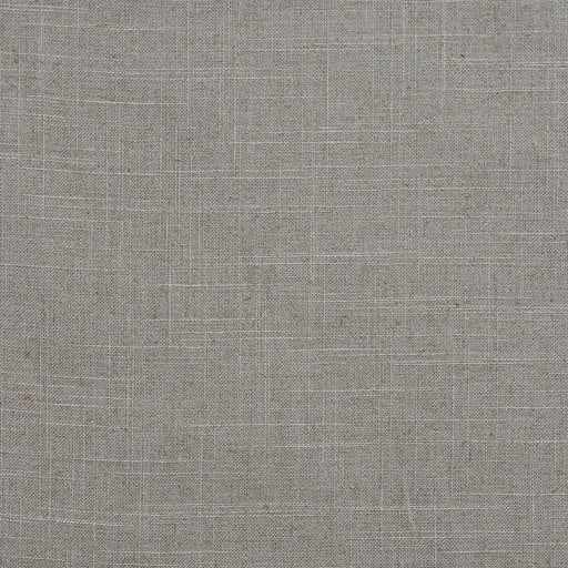 Charlotte - D290 - Platinum - Fabric by the Yard Platinum
