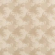 Charlotte - D2929 - Beechwood - Fabric by the Yard Beechwood