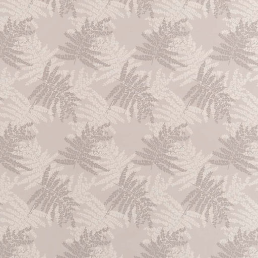 Charlotte - D2930 - Fog - Fabric by the Yard Fog