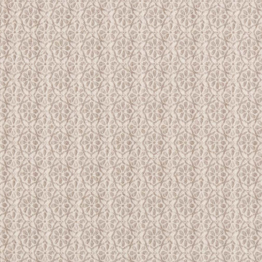 Charlotte - D2951 - Platinum - Fabric by the Yard Platinum