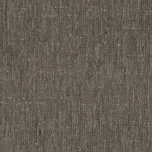 Charlotte - D2962 - Graphite - Fabric by the Yard Graphite