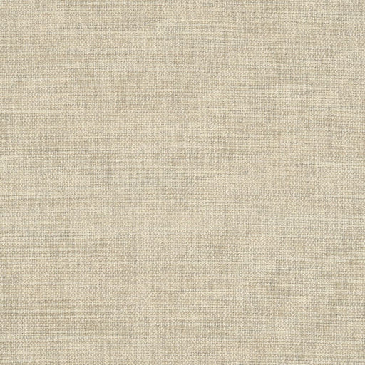 Charlotte - D2969 - Bone - Fabric by the Yard Bone