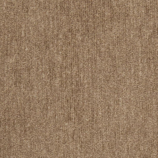 Charlotte - D2972 - Acorn - Fabric by the Yard Acorn