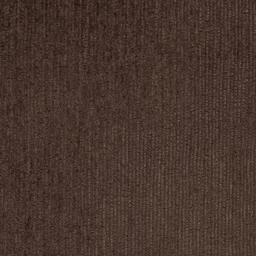 Charlotte - D2974 - Chocolate - Fabric by the Yard Chocolate