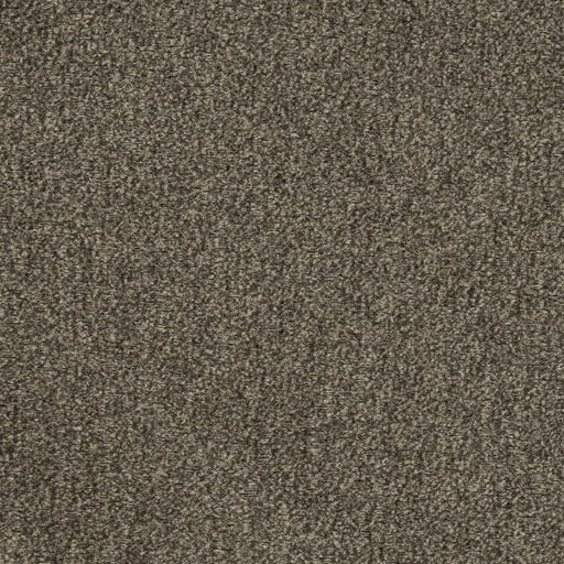 Charlotte - D2975 - Ash - Fabric by the Yard Ash