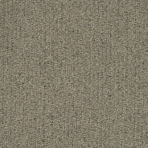 Charlotte - D2976 - Nickle - Fabric by the Yard Nickle