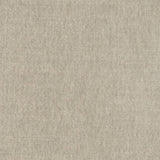 Charlotte - D2990 - Smoke - Fabric by the Yard