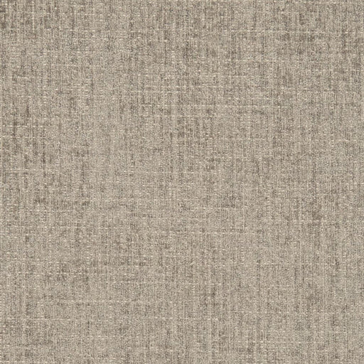 Charlotte - D2999 - Sterling - Fabric by the Yard Sterling