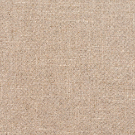 Charlotte - D299 - Ecru - Fabric by the Yard Ecru