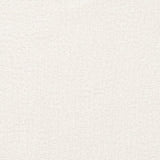 Charlotte - D3008 - Snow - Fabric by the Yard