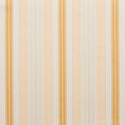 Charlotte - D300 - Antique Noble Stripe - Fabric by the Yard Antique Noble Stripe