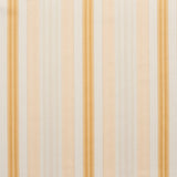 Charlotte - D300 - Antique Noble Stripe - Fabric by the Yard