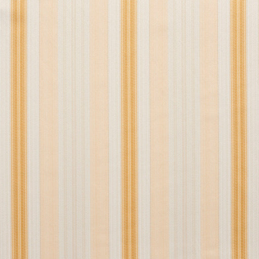 Charlotte - D300 - Antique Noble Stripe - Fabric by the Yard Antique Noble Stripe