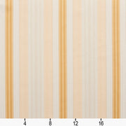 Charlotte - D300 - Antique Noble Stripe - Fabric by the Yard - D300 - D300_Ruler