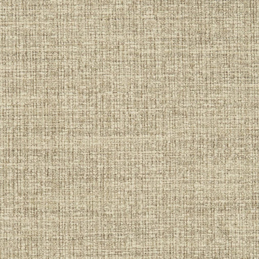 Charlotte - D3013 - Oatmeal - Fabric by the Yard Oatmeal