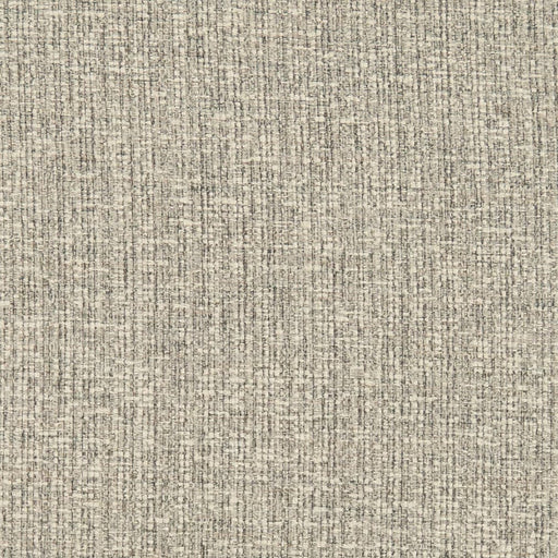 Charlotte - D3014 - Pewter - Fabric by the Yard Pewter