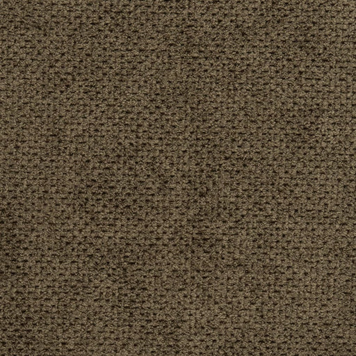 Charlotte - D3016 - Umber - Fabric by the Yard Umber